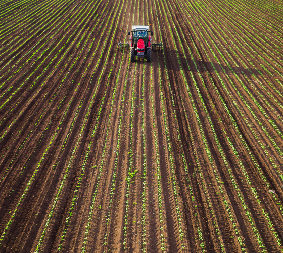 Tractor maquinaria agrícola en el campo